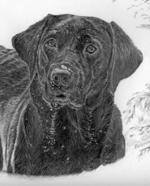 Helena in Snow, with the mount and frame. Pencil drawing by Katerina Wood